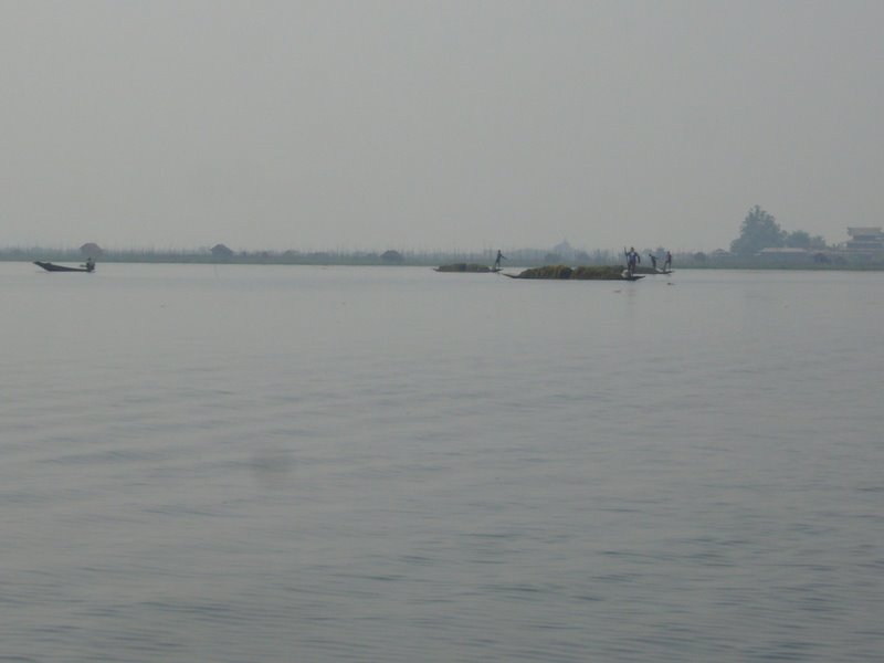 Travel - Myanmar - Inle Lake - Second Boat Trip - Open Lake